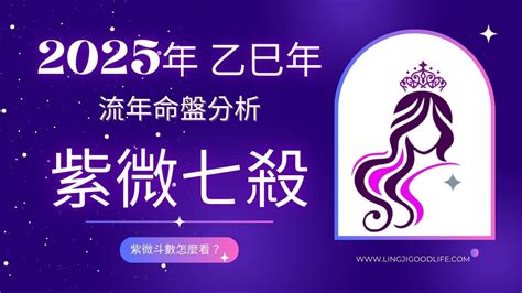 流年走七煞|2025年 乙巳蛇年 「紫微七殺」在流年命宮運勢分析：。